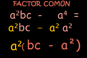 factor-comun